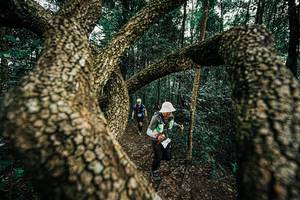 BIB: 
                            <button type="button" onclick="openModal(25393270)" class="btn btn-primary btn-sm float-right btn-popup" data-toggle="modal" data-target=".modal-high-quality">
                        <i class="fas fa-shopping-cart"></i> Add to Cart
                    </button>
                                            <button type="button" onclick="isThisMe(25393270, true)" class="btn btn-success btn-sm float-right btn-popup btn-isme hidden" data-toggle="tooltip" data-placement="bottom" title="นี่คือรูปของคุณใช่ไหม คลิกที่นี่เพื่อเอาเข้าอัลบั้ม">
                        <i class="fas fa-plus"></i> Add to album
                    </button>
                    <button type="button" onclick="isThisMe(25393270, false)" class="btn btn-warning btn-sm float-right btn-popup btn-isnotme hidden">
                        <i class="fas fa-ban"></i> Remove from album
                    </button>